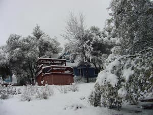 thumbnail: 263e0994befb20411363aa5c026abc83.jpeg