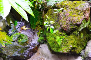 thumbnail: Interior detail