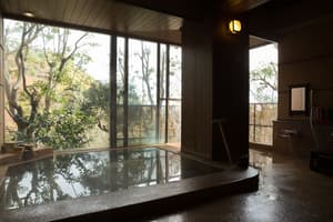 thumbnail: Indoor spa tub