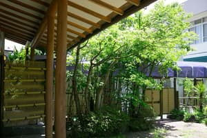 thumbnail: Exterior detail