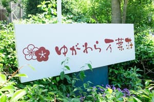 thumbnail: Exterior detail
