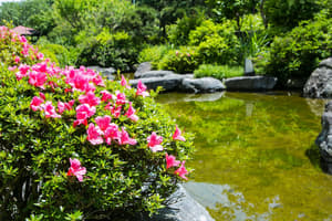 thumbnail: Garden