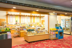 thumbnail: Gift shop