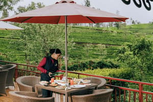 thumbnail: Outdoor dining