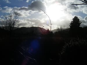 thumbnail: View from property