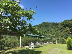 thumbnail: View from property