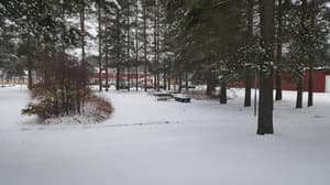 thumbnail: Property grounds