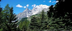 thumbnail: General view