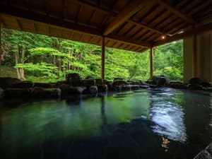 thumbnail: Public bath