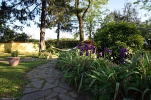 thumbnail: General view