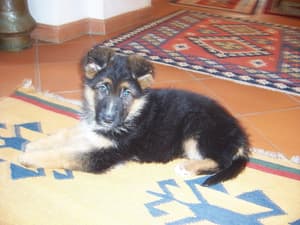 thumbnail: Outdoor dining