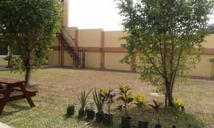thumbnail: Garden