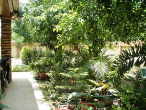 thumbnail: Property grounds