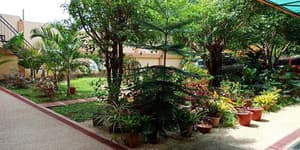 thumbnail: Property grounds