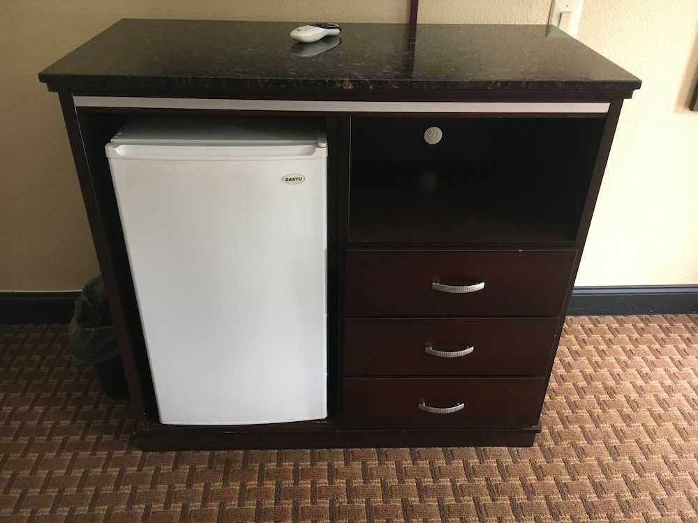 Mini-refrigerator