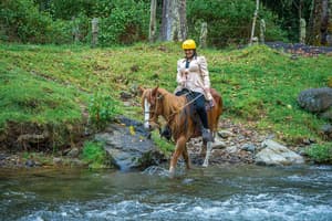 thumbnail: Horseback riding