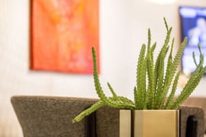 thumbnail: Interior detail