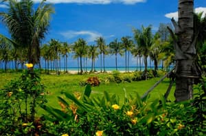 thumbnail: View from room