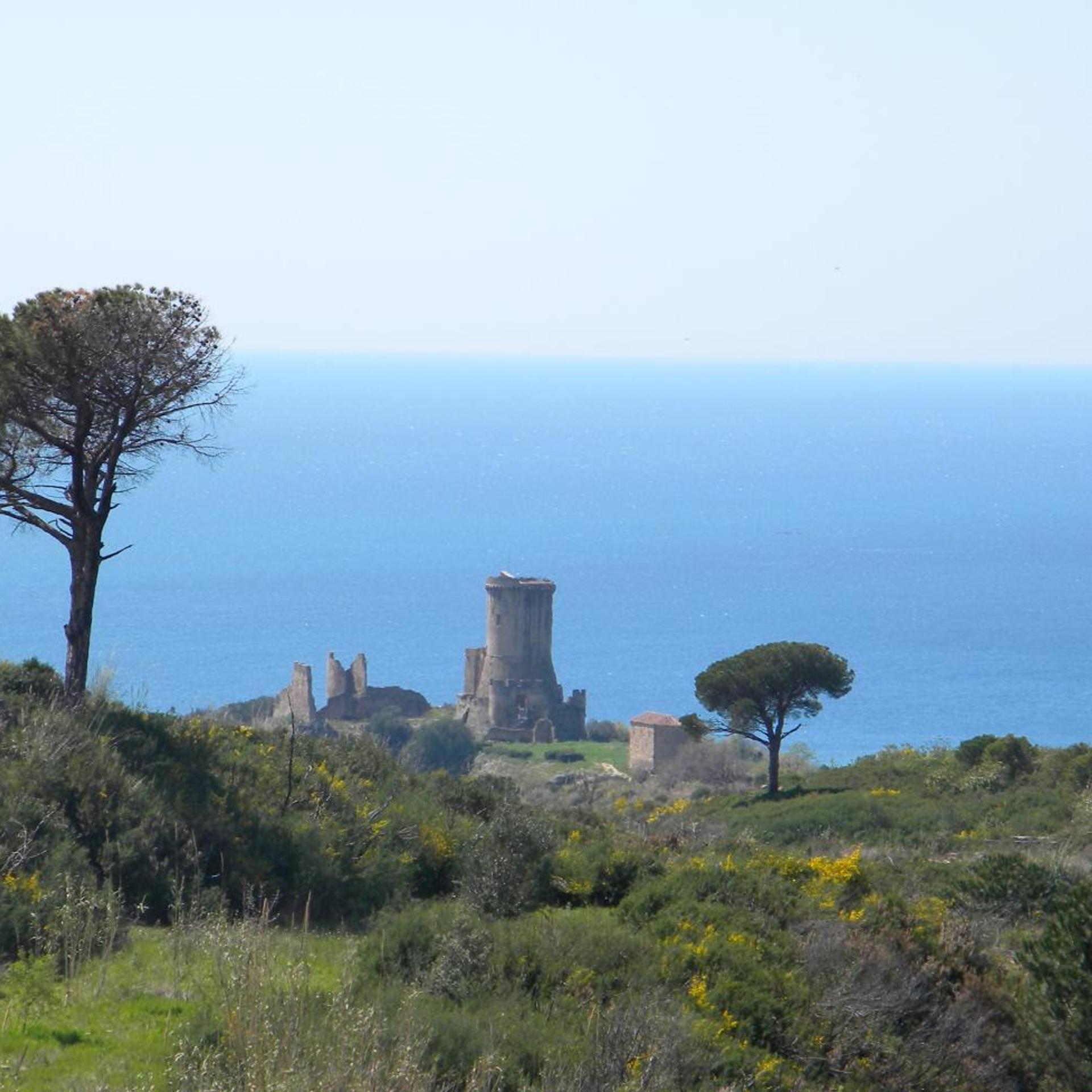 Surroundings