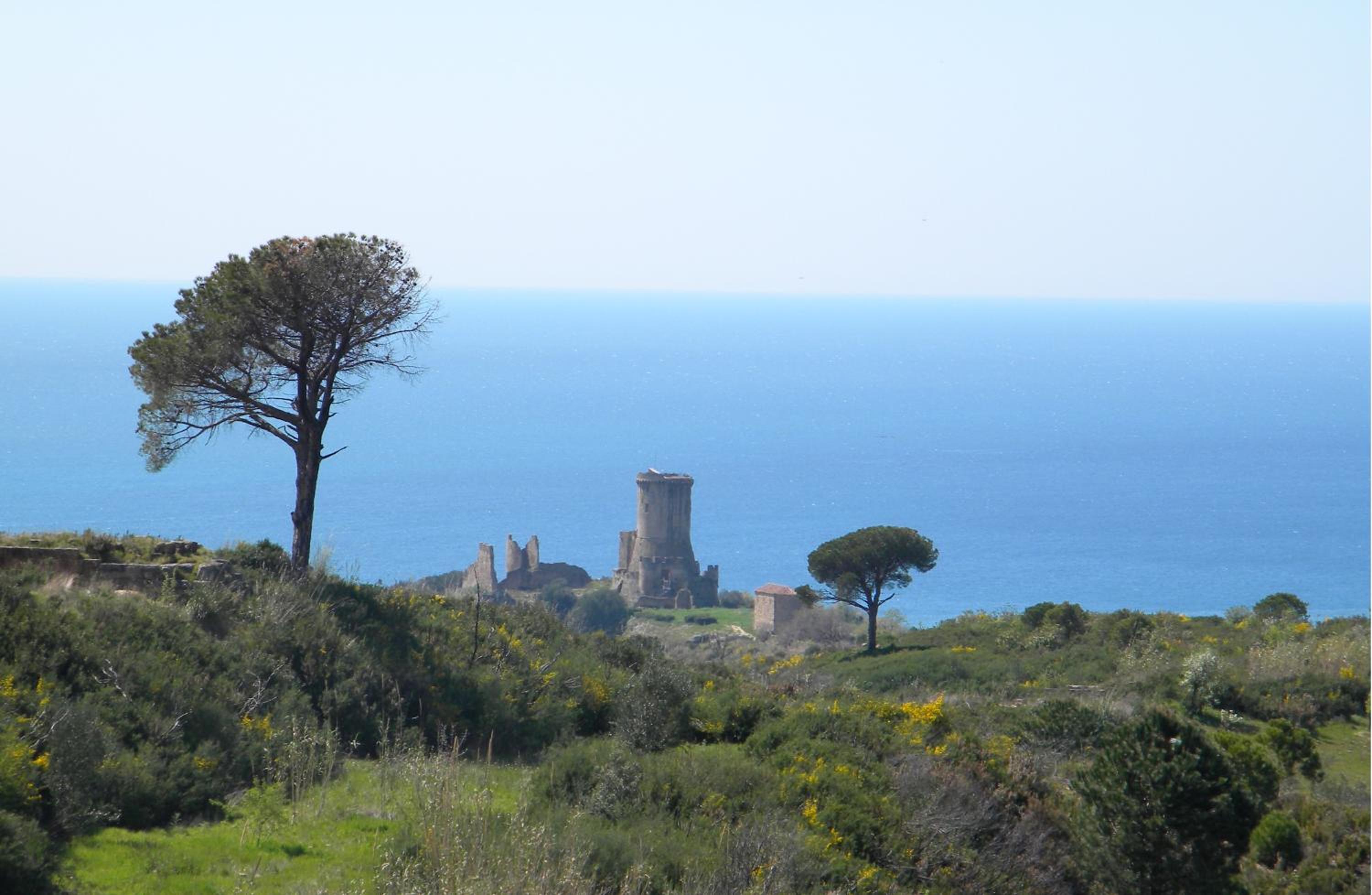 Surroundings