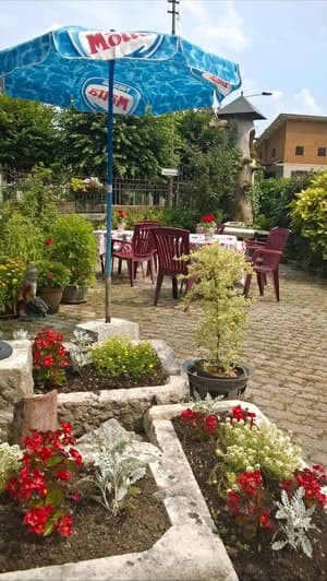 thumbnail: Garden