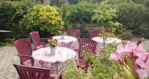 thumbnail: Garden