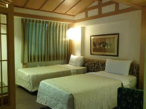 thumbnail: General view