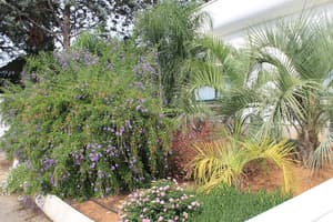 thumbnail: Garden