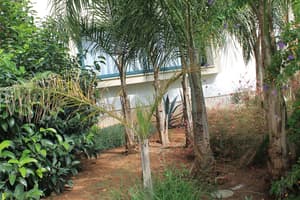 thumbnail: Garden