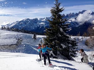 thumbnail: Snowshoeing