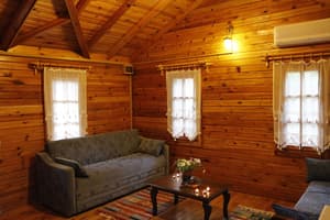 thumbnail: Living area