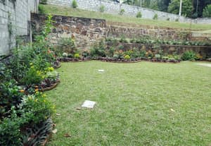 thumbnail: Garden