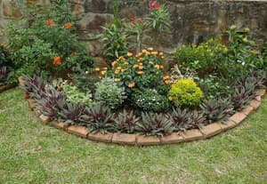 thumbnail: Garden