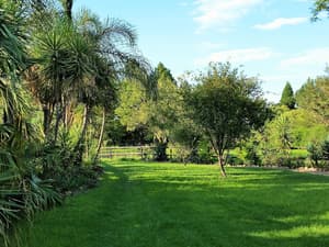 thumbnail: View from property