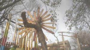 thumbnail: Exterior
