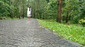 thumbnail: Interior