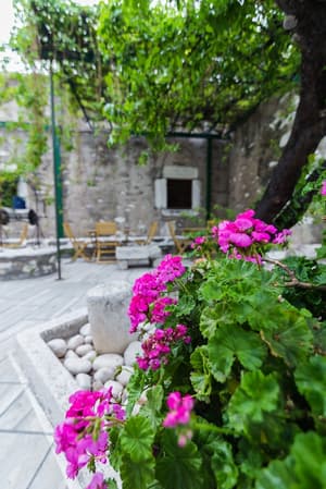 thumbnail: Terrace/patio