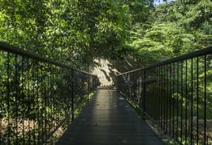 thumbnail: Property entrance