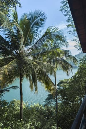 thumbnail: View from property