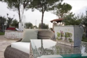 thumbnail: General view