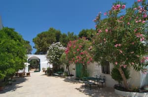 thumbnail: Garden