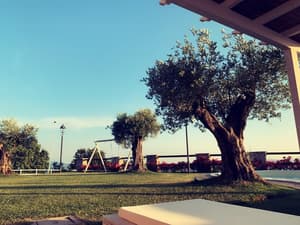 thumbnail: Property grounds