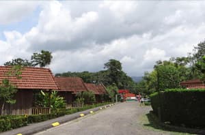 thumbnail: General view