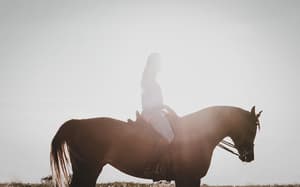thumbnail: Horseback riding