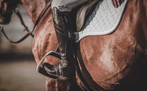 thumbnail: Horseback riding