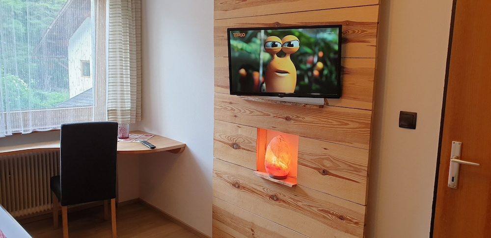 Television