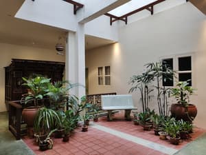 thumbnail: Garden view