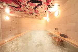 thumbnail: Indoor spa tub