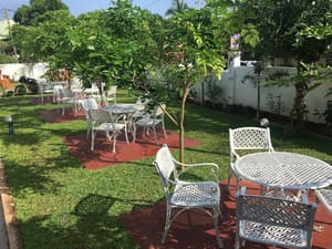 thumbnail: Garden