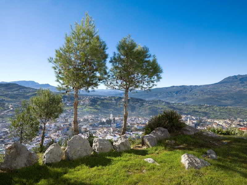 General view